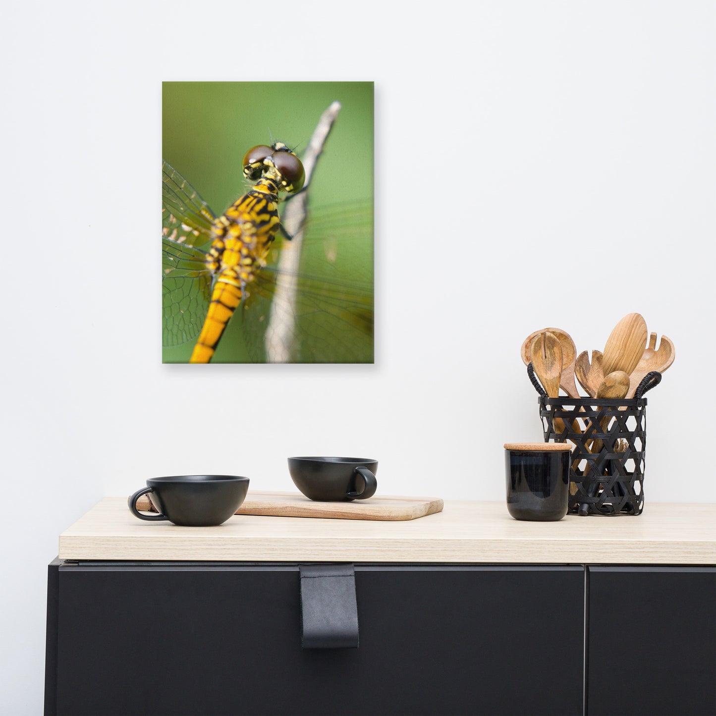 Dragonfly at Bombay Hook Animal / Wildlife Photograph Canvas Wall Art Prints