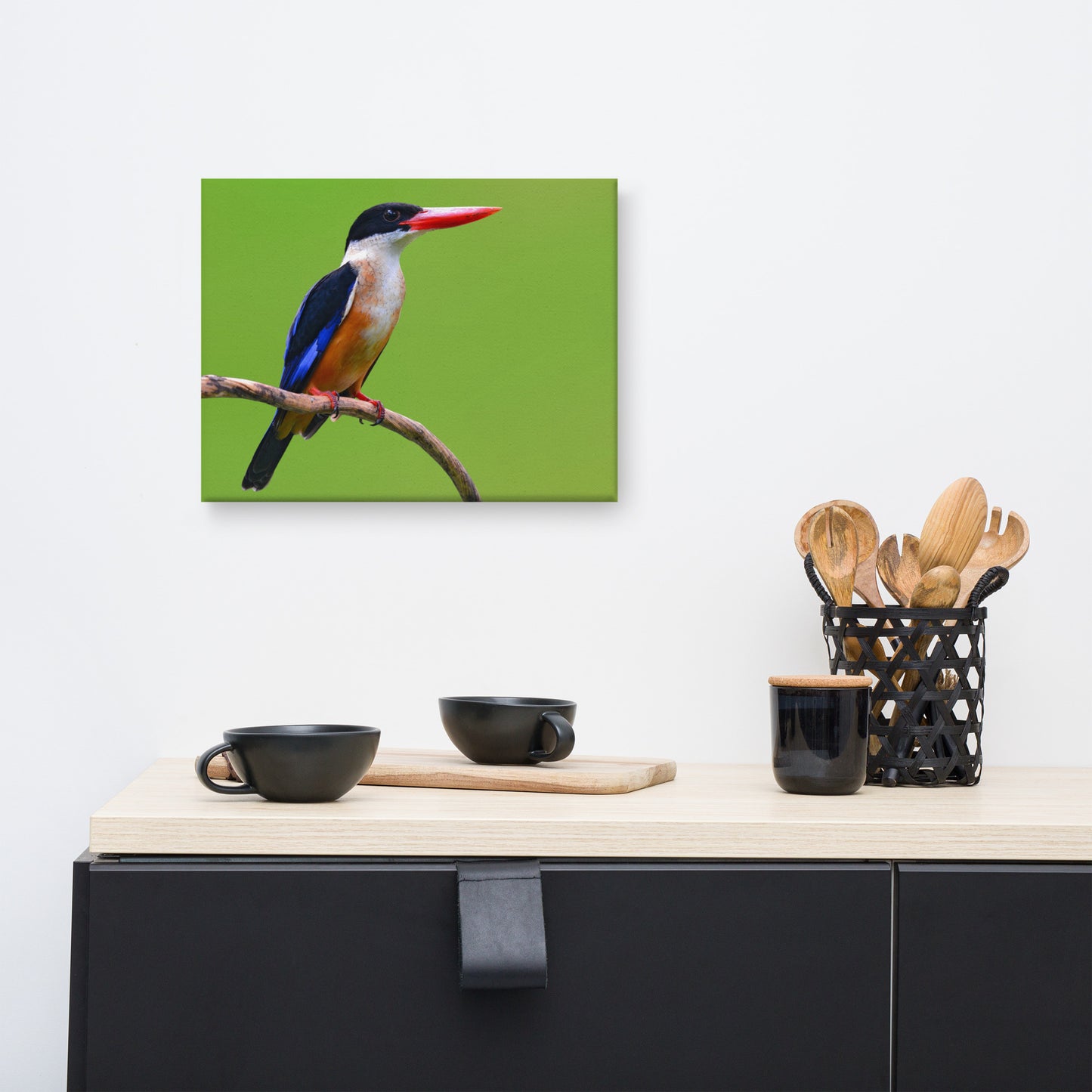 Black Capped Kingfisher Bird on Perch Animal Wildlife Photograph Canvas Wall Art Prints