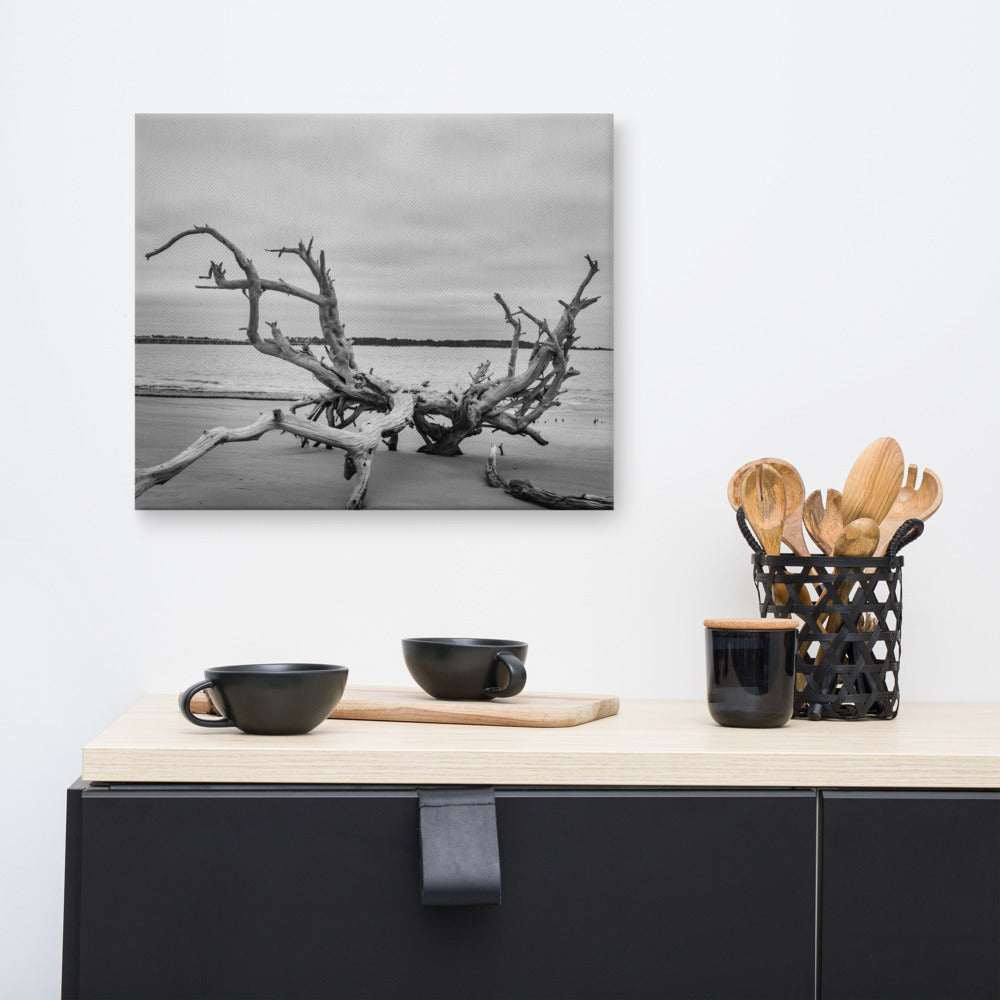 Vintage Beach Wall Art: Driftwood on Boneyard Beach Florida 3 Black and White Rustic Coastal Landscape Photo Canvas Wall Art Print