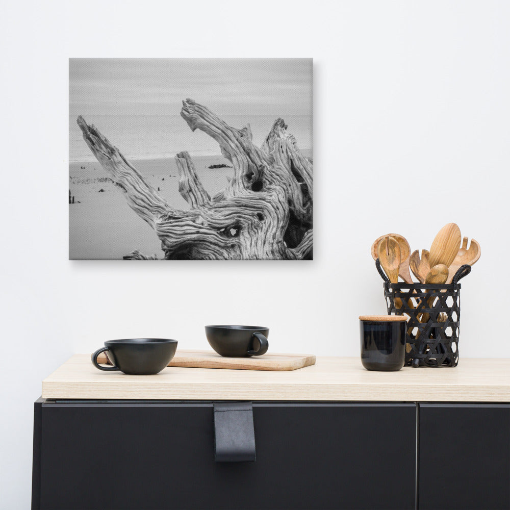 Canvas Wall Art Coastal Beach I: Driftwood on Boneyard Beach Florida 4 Black and White Coastal Nature Photo Canvas Wall Art Print