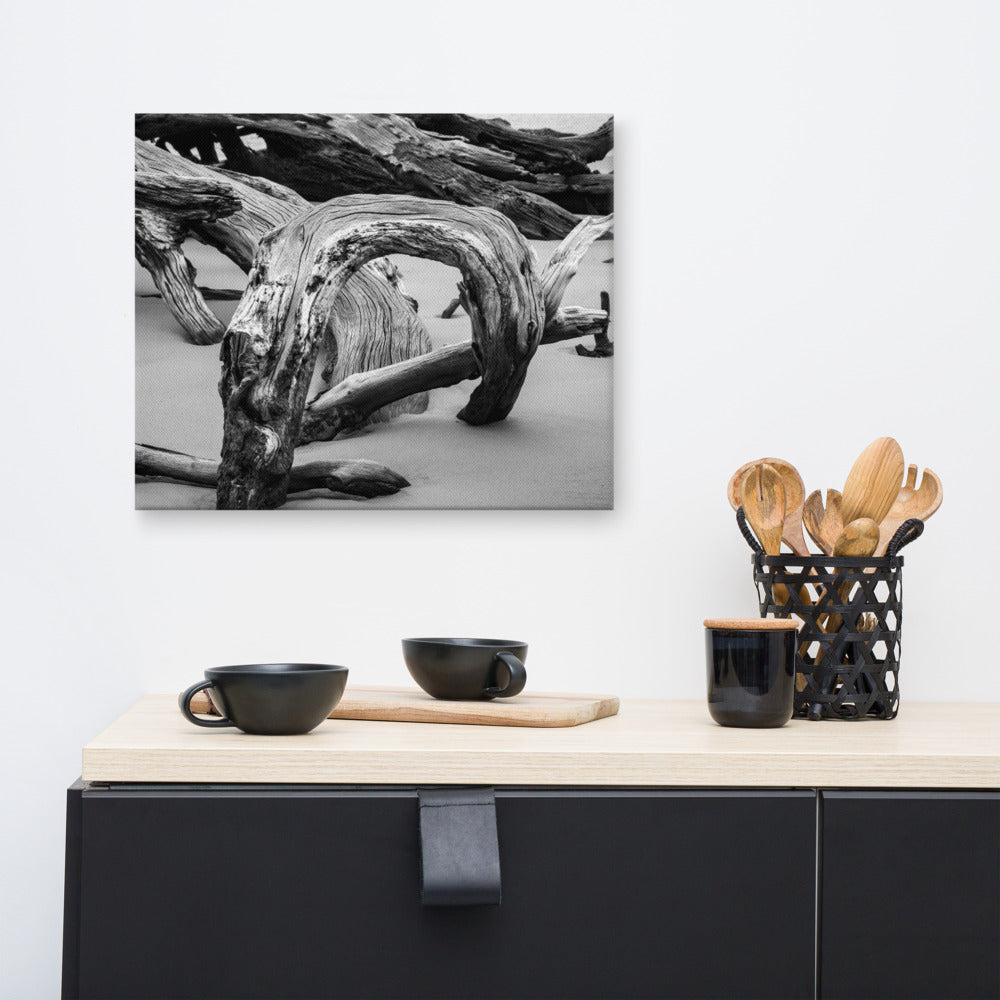 Coastal Chic Wall Art: Dead Tree Boneyard Beach Florida 5 Black and White Rustic Landscape Photo Canvas Wall Art Print