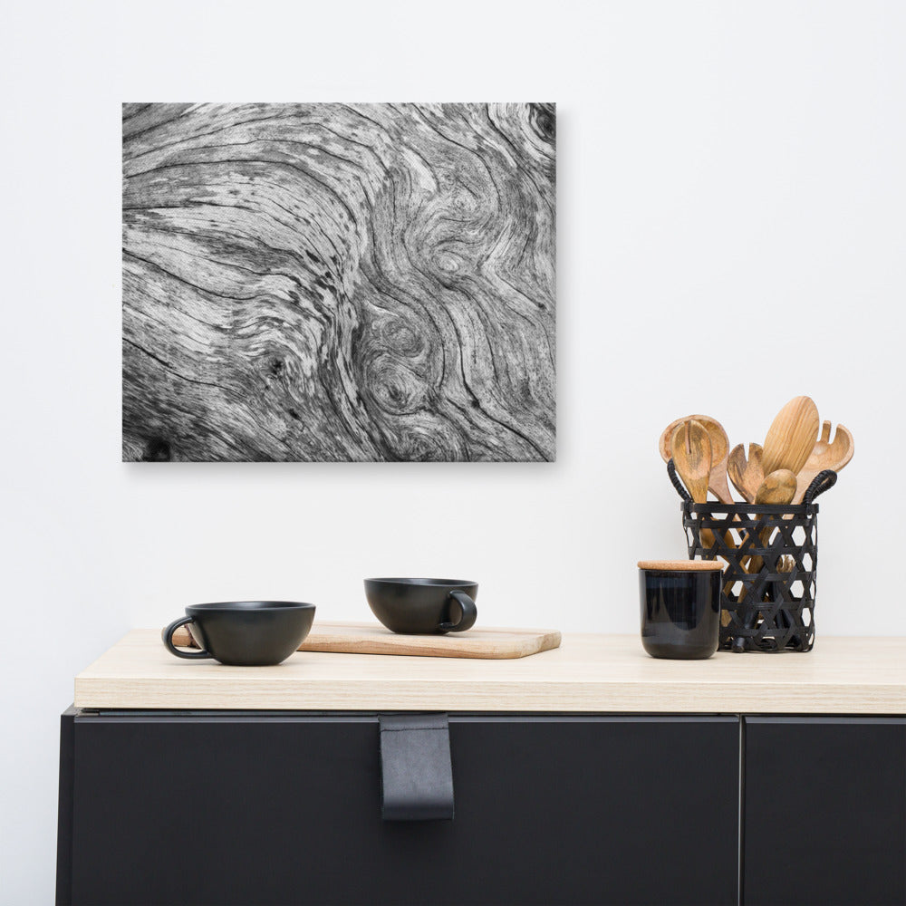 Coastal Canvas Prints: Dead Tree Boneyard Beach Florida Texture Close-up 2 Black and White Rustic Nature Photo Canvas Wall Art Print