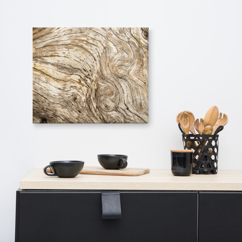 Rustic Wall Art For Bedroom: Dead Tree Boneyard Beach Florida Texture Close-up 3 Rustic Nature Photo Canvas Wall Art Print