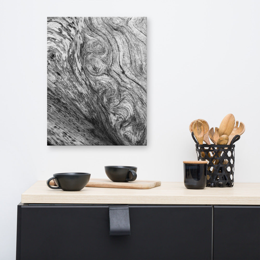 Rustic Wall Art Amazon: Dead Tree Boneyard Beach Florida Texture Close-up 5 Black and White Rustic Nature Photo Canvas Wall Art Print