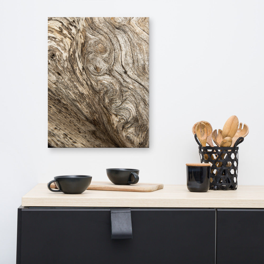 Beach Bathroom Wall Decor: Dead Tree Boneyard Beach Florida Texture Close-up 4 Rustic Nature Photo Canvas Wall Art Print