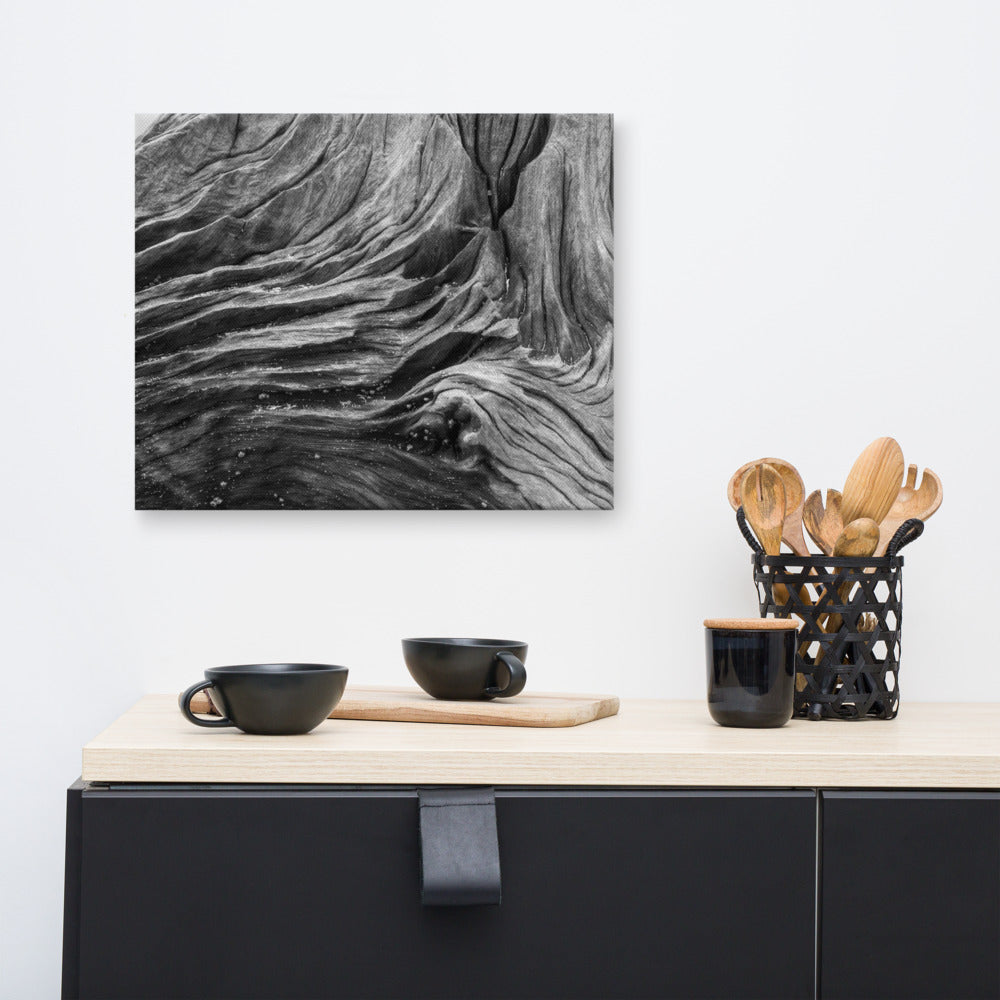 Country Scene Canvas Art Print: Dead Tree Boneyard Beach Florida Texture Close-up Black and White Rustic Nature Photo Canvas Wall Art Print