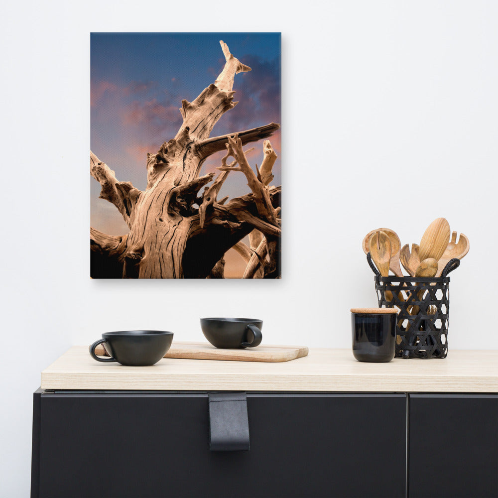 Coastal Wall Art For Bedroom: Wilted Cypress Tree and Sunrise Nature Photo Canvas Wall Art Prints
