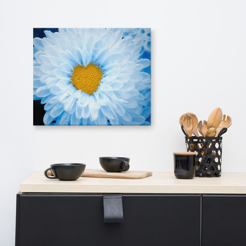 Blue And White Botanical Prints: Blue Tinted Chrysanthemums Nature Photo For Ukraine Refugees Floral Canvas Wall Art Print