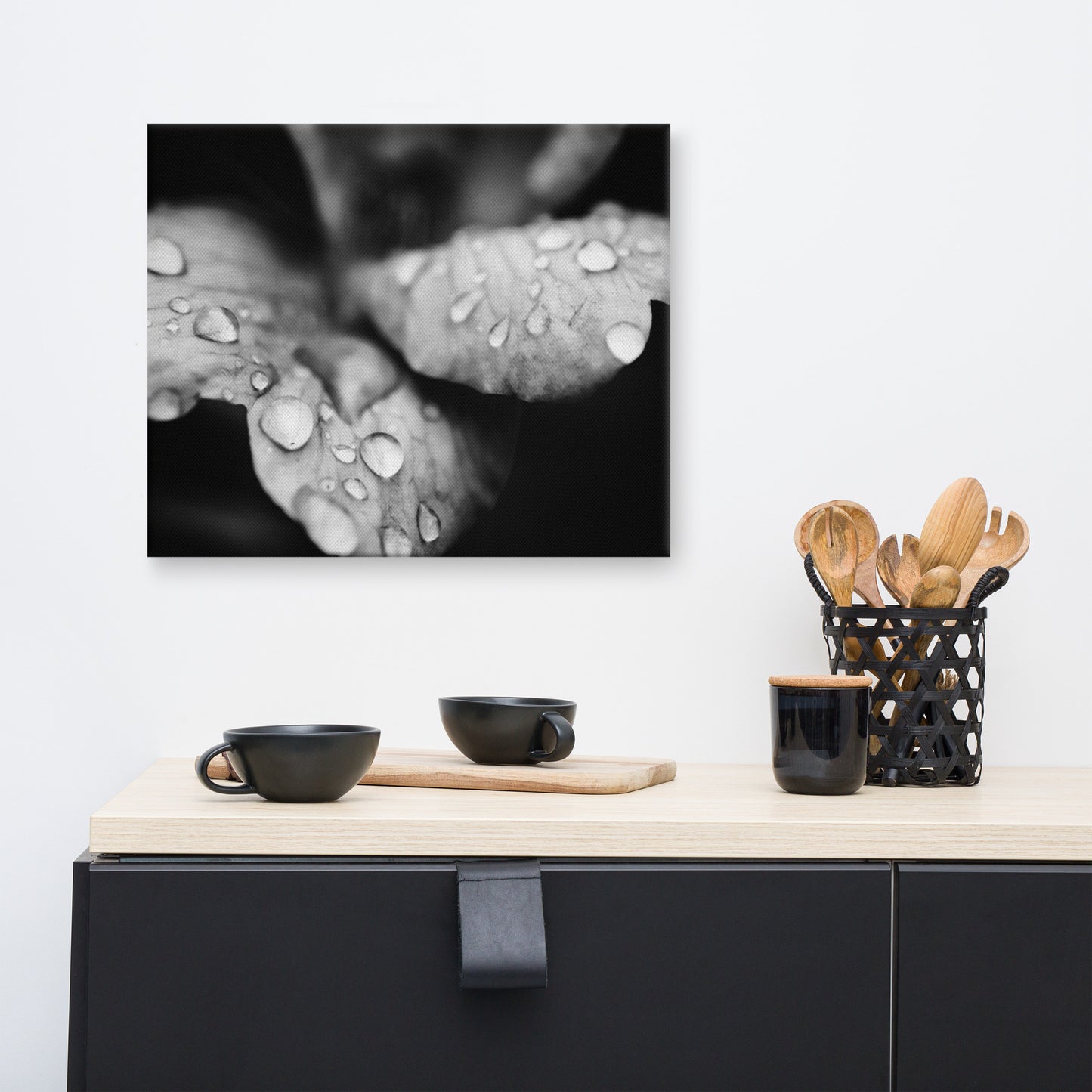 Raindrops on Wild Rose Plant Black and White Floral Botanical Nature Photo Canvas Wall Art Prints