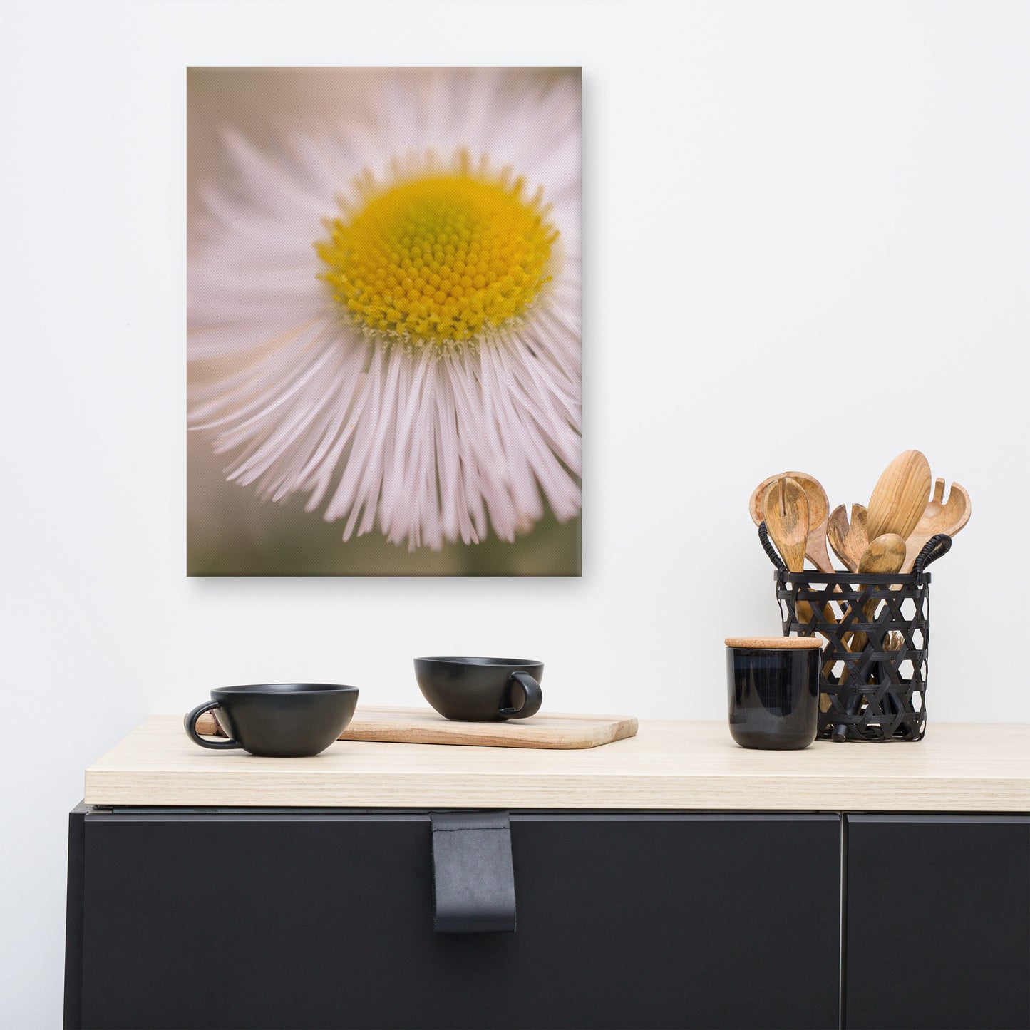 Philadelphia Fleabane Single Bloom Floral Botanical Nature Photo Canvas Wall Art Prints