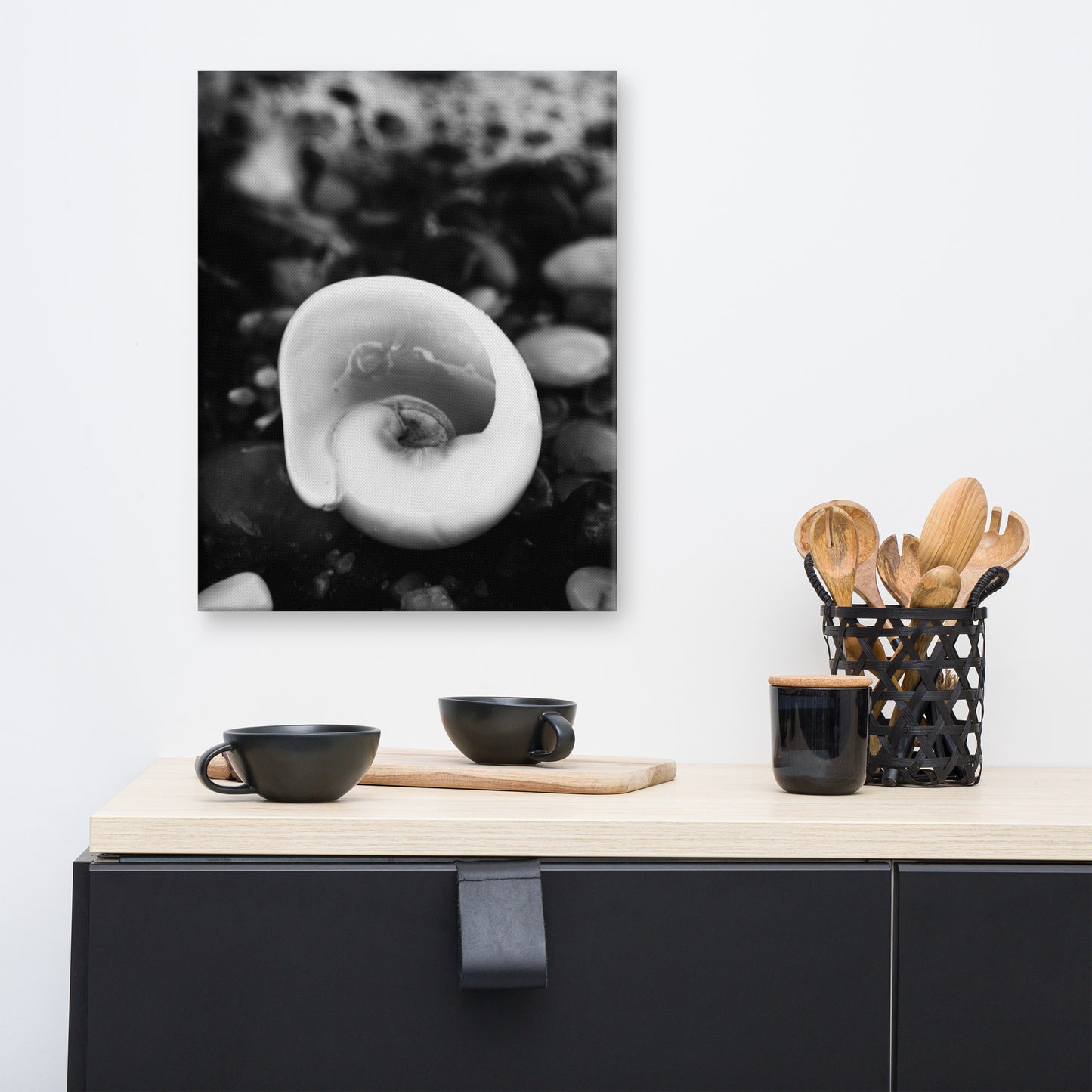 Glowing Beach Shell Black and White Coastal Nature Canvas Wall Art Prints