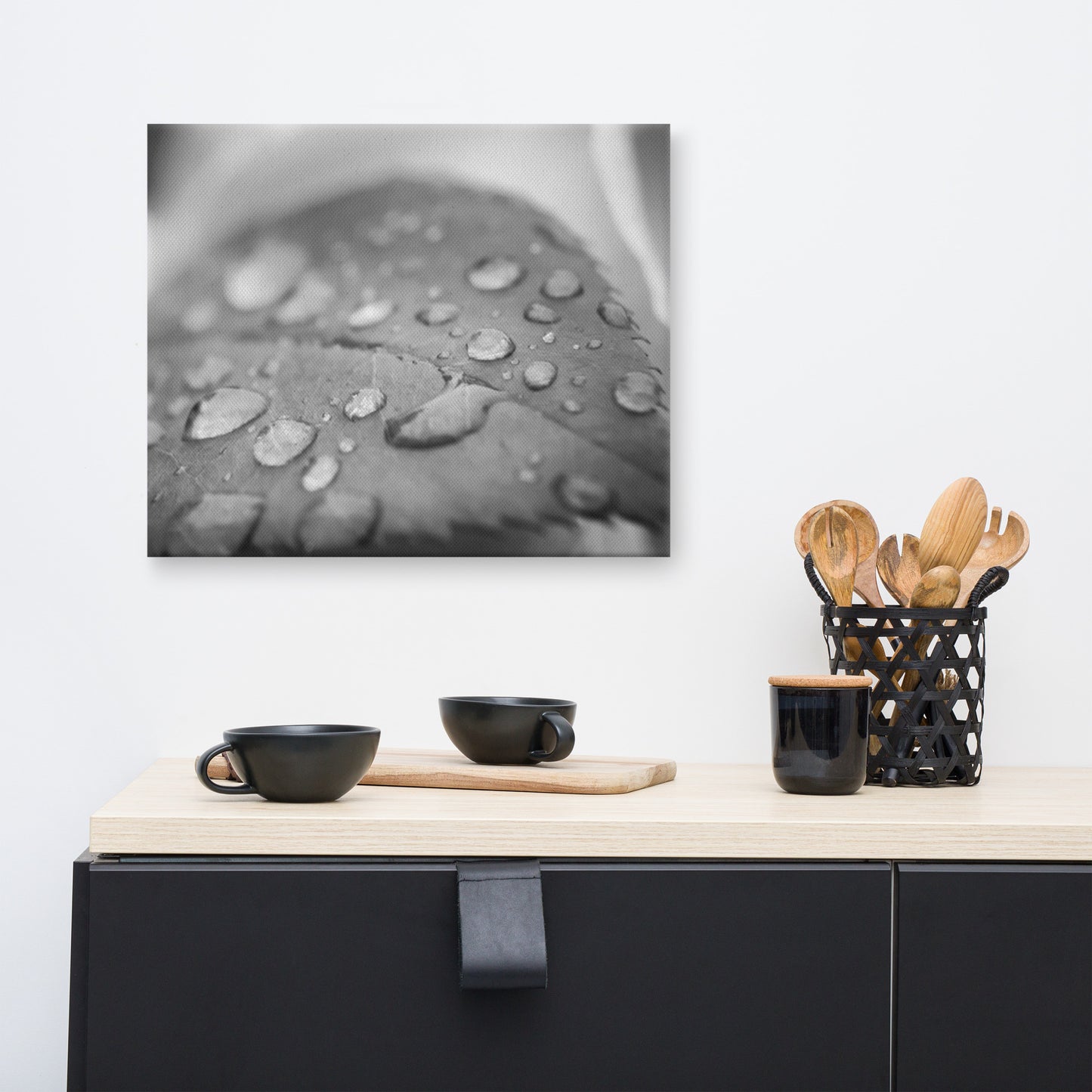Dew on Leaf of Rose Plant Black and White Floral Nature Canvas Wall Art Prints