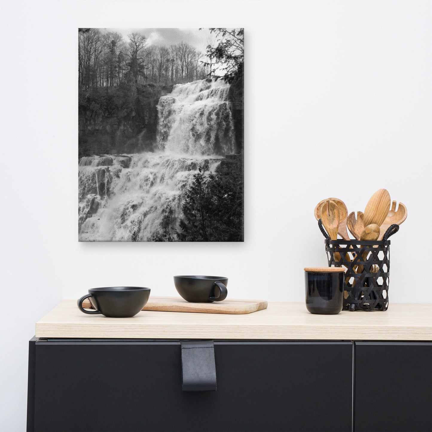 Chittenango Falls Black and White Rural Landscape Canvas Wall Art Prints