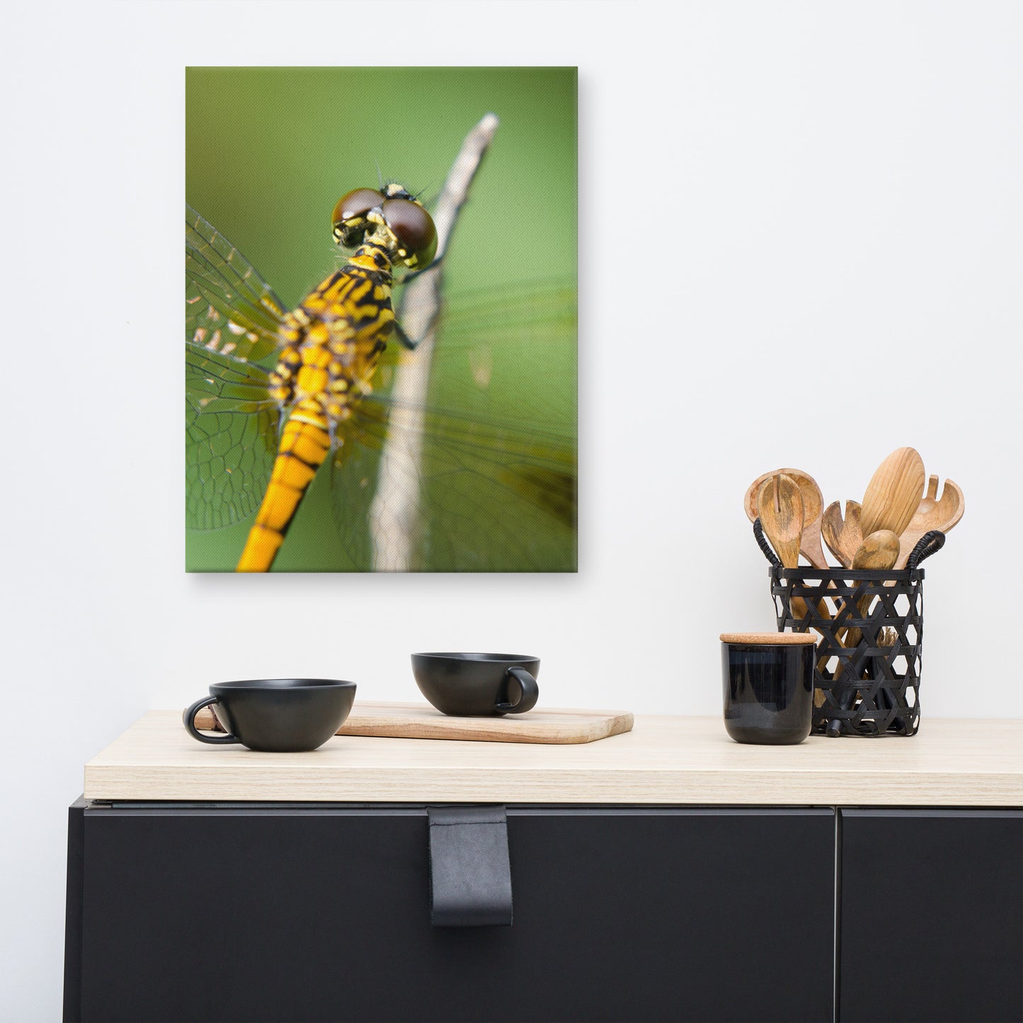 Dragonfly at Bombay Hook Animal / Wildlife Photograph Canvas Wall Art Prints