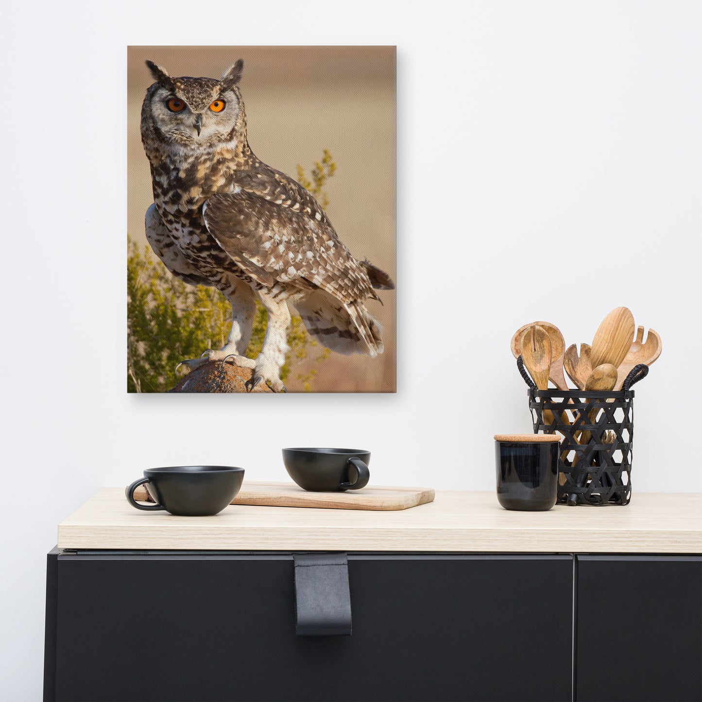 Cape Eagle Owl Wildlife Animal Photograph Canvas Wall Art Prints