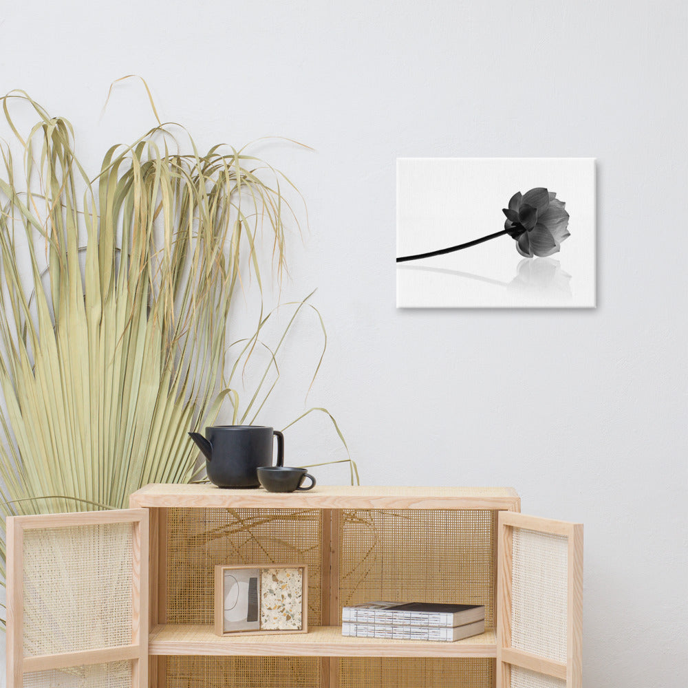 Resting Lotus Flower Black & White Floral Nature Photo Canvas Wall Decorating Art Print 18??24 - PIPAFINEART