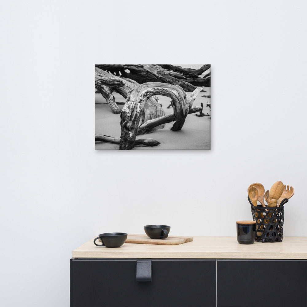 White Beach Wall Art: Dead Tree Boneyard Beach Florida 5 Black and White Rustic Landscape Photo Canvas Wall Art Print