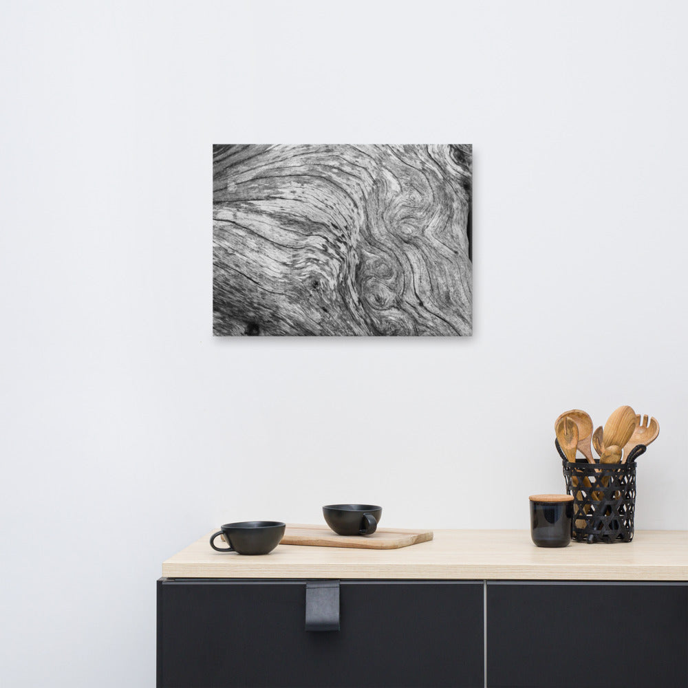 Coastal Artwork On Canvas: Dead Tree Boneyard Beach Florida Texture Close-up 2 Black and White Rustic Nature Photo Canvas Wall Art Print