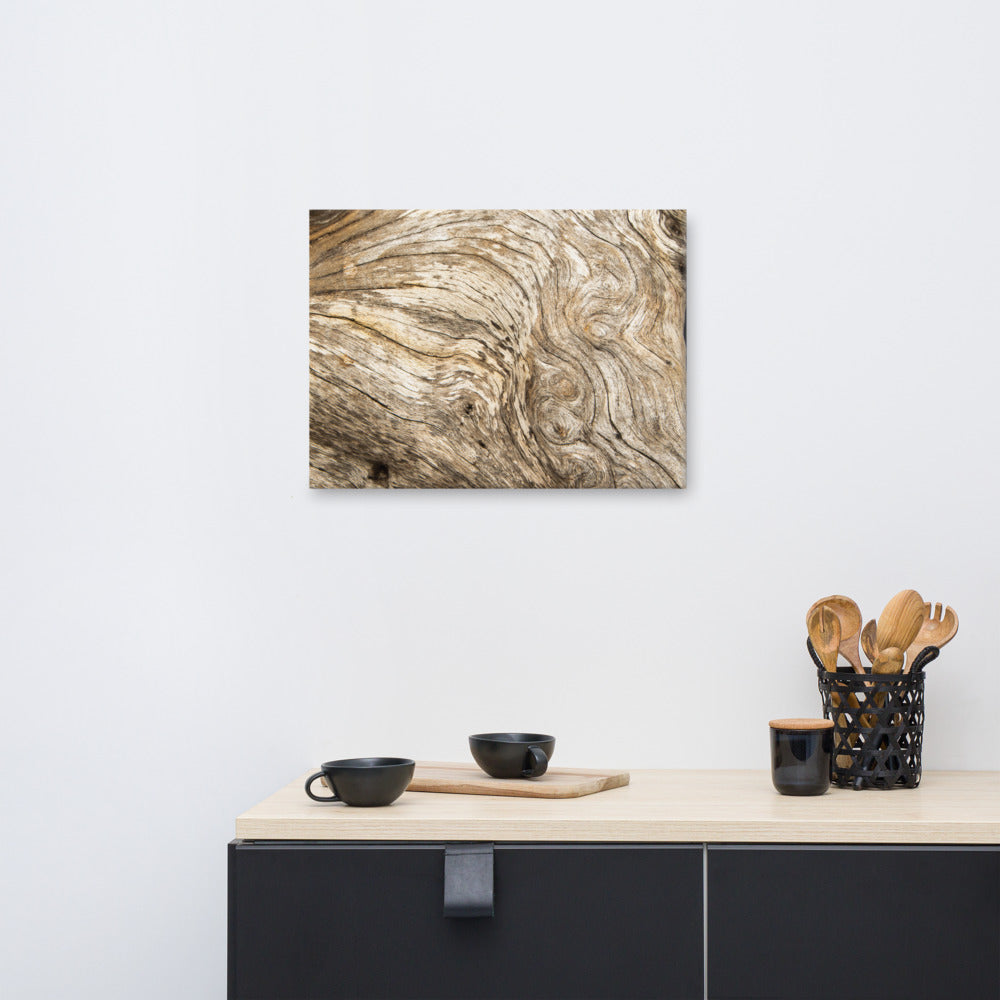 Country Bathroom Wall Decor: Dead Tree Boneyard Beach Florida Texture Close-up 3 Rustic Nature Photo Canvas Wall Art Print