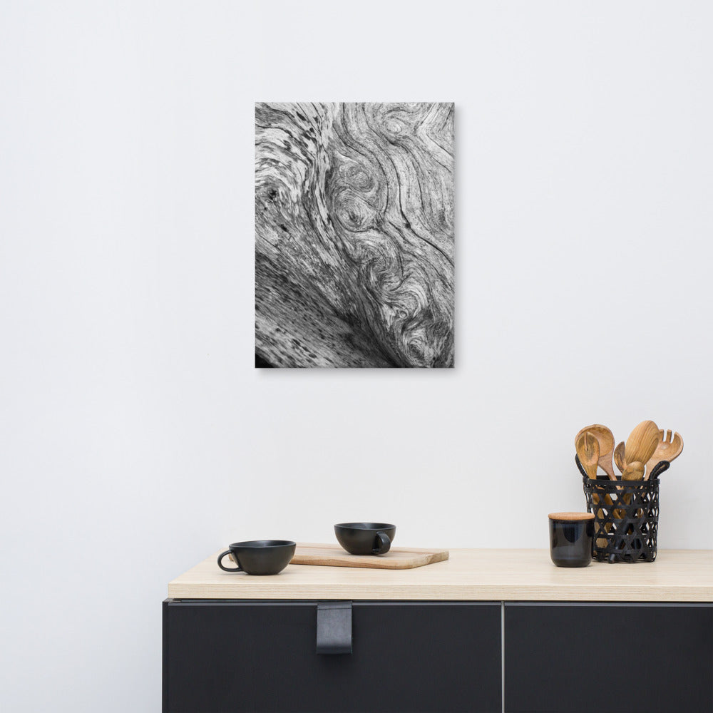 Kitchen Rustic Wall Art: Dead Tree Boneyard Beach Florida Texture Close-up 5 Black and White Rustic Nature Photo Canvas Wall Art Print