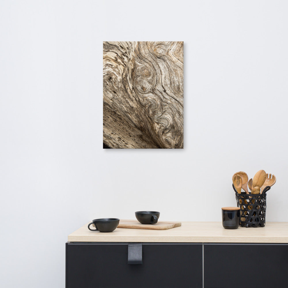 Beach Themed Wall Art: Dead Tree Boneyard Beach Florida Texture Close-up 4 Rustic Nature Photo Canvas Wall Art Print