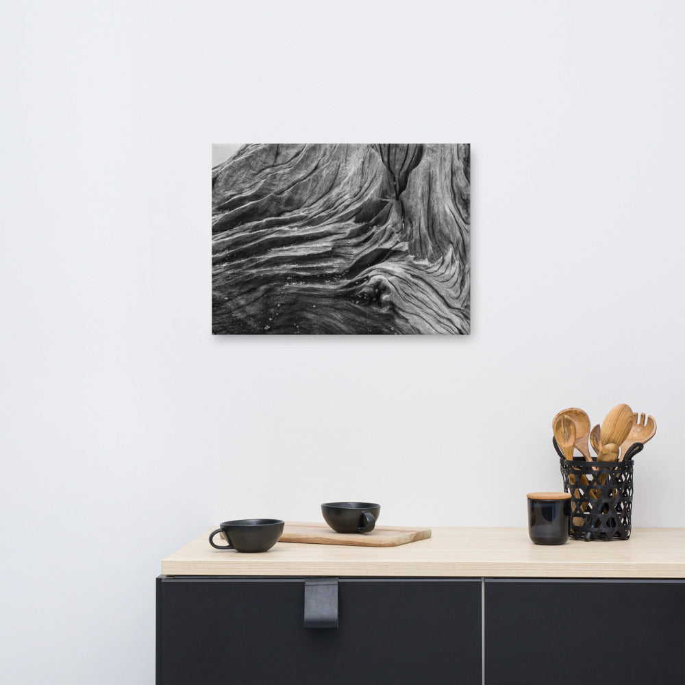 Rustic Canvas Pictures: Dead Tree Boneyard Beach Florida Texture Close-up Black and White Rustic Nature Photo Canvas Wall Art Print