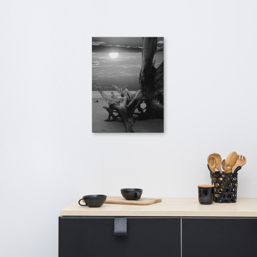 Vertical Coastal Wall Decor: Dried Tree Roots and Sunrise 2 Black and White Landscape Photo Canvas Wall Art Print