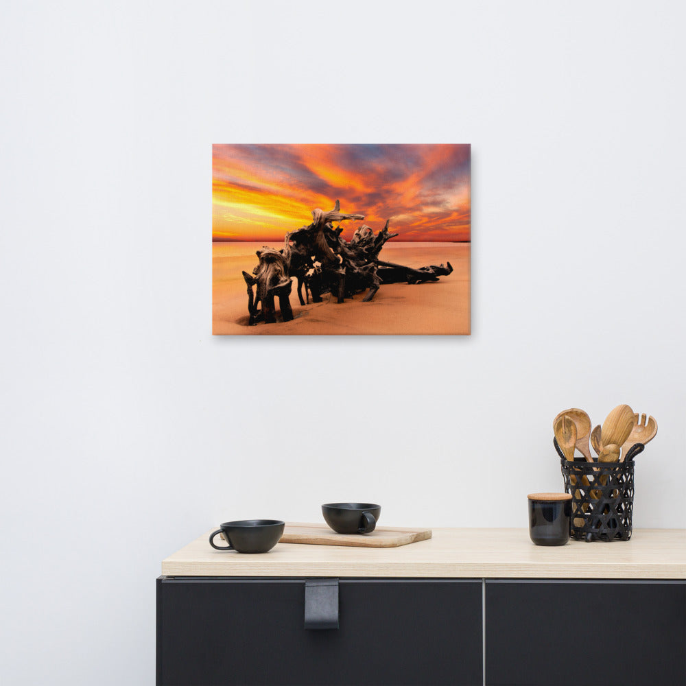 Rustic Coastal Wall Decor: Dried Tree Roots and Sunrise Boneyard Beach Jackson Florida Canvas Wall Art Print 18" x 24"
