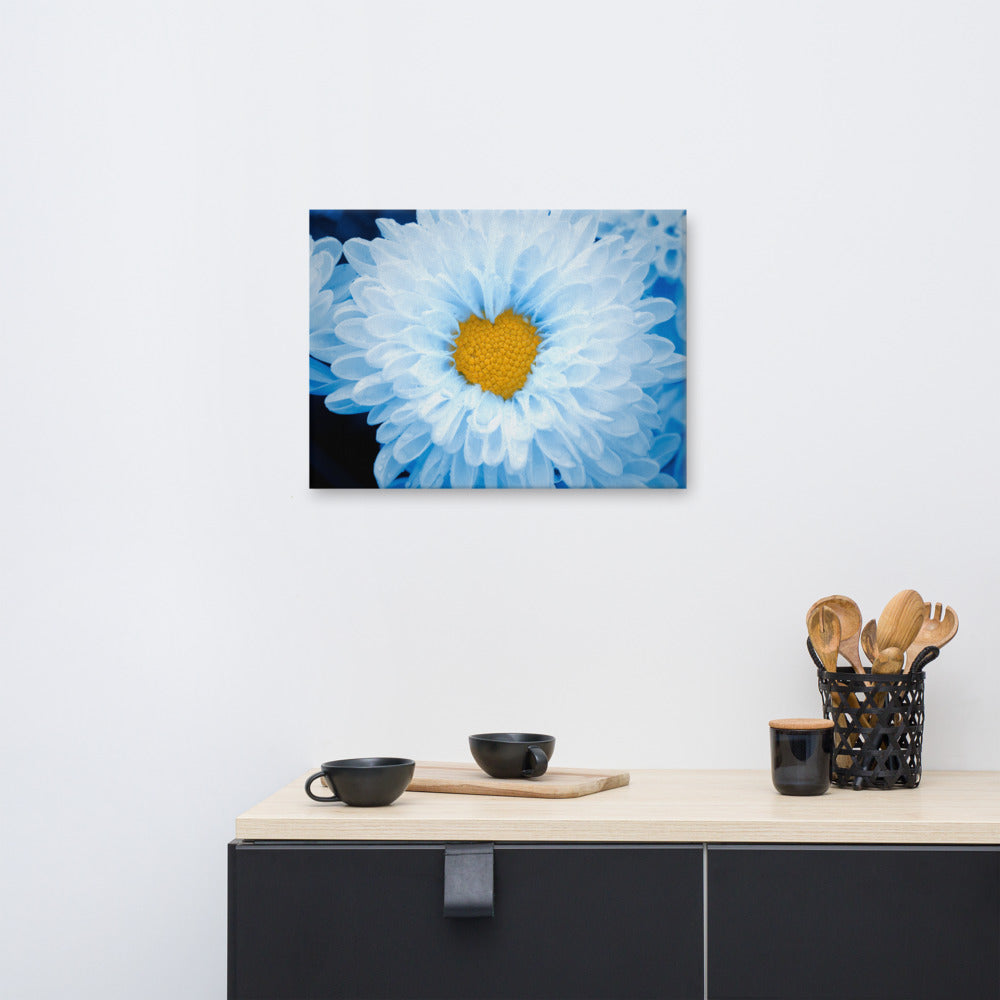 Blue Botanical Wall Art: Blue Tinted Chrysanthemums Nature Photo For Ukraine Refugees Floral Canvas Wall Art Print