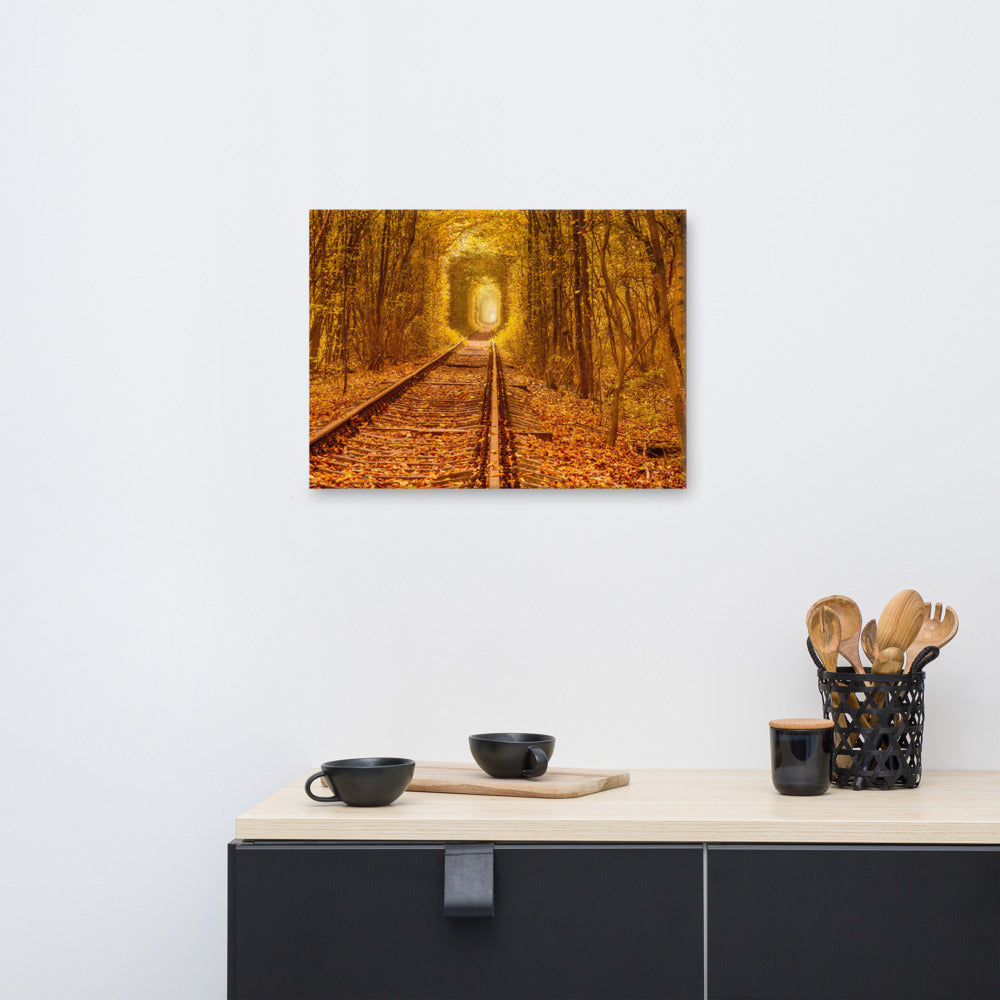 Hobby Lobby Rustic Wall Art: Ukraine Forest Railway Tunnel of Love Landscape Photo Canvas Wall Art Print