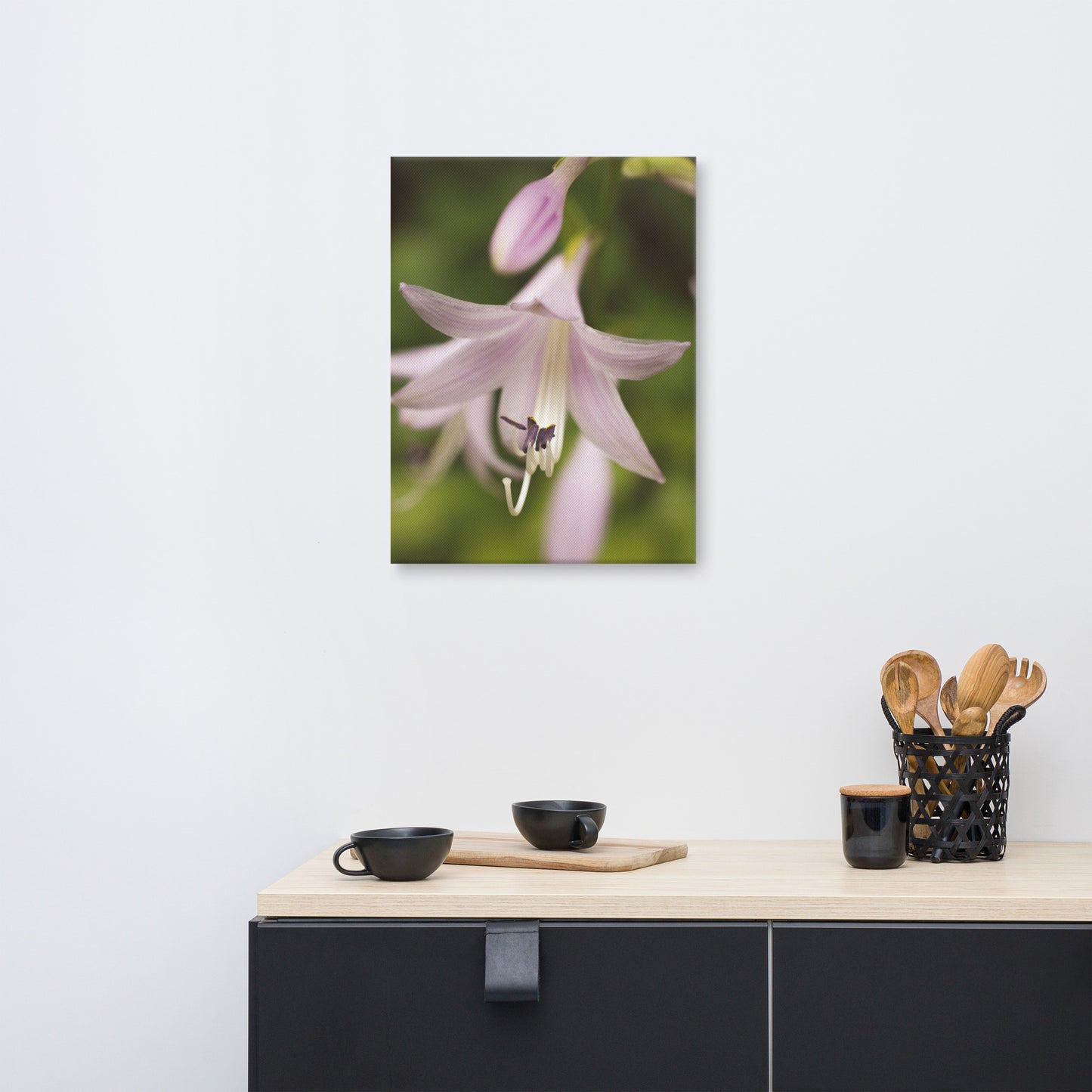 Softened Hosta Bloom Floral Botanical Nature Photo Canvas Wall Art Prints