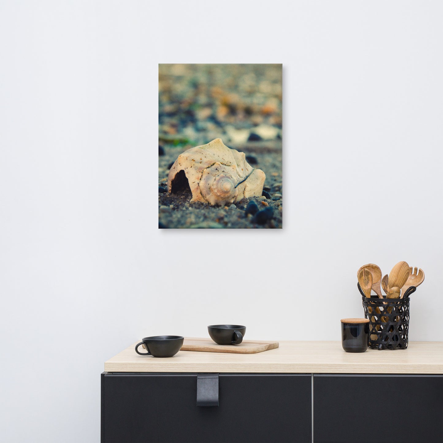 Shell at Bowers 2 Coastal Nature Canvas Wall Art Prints