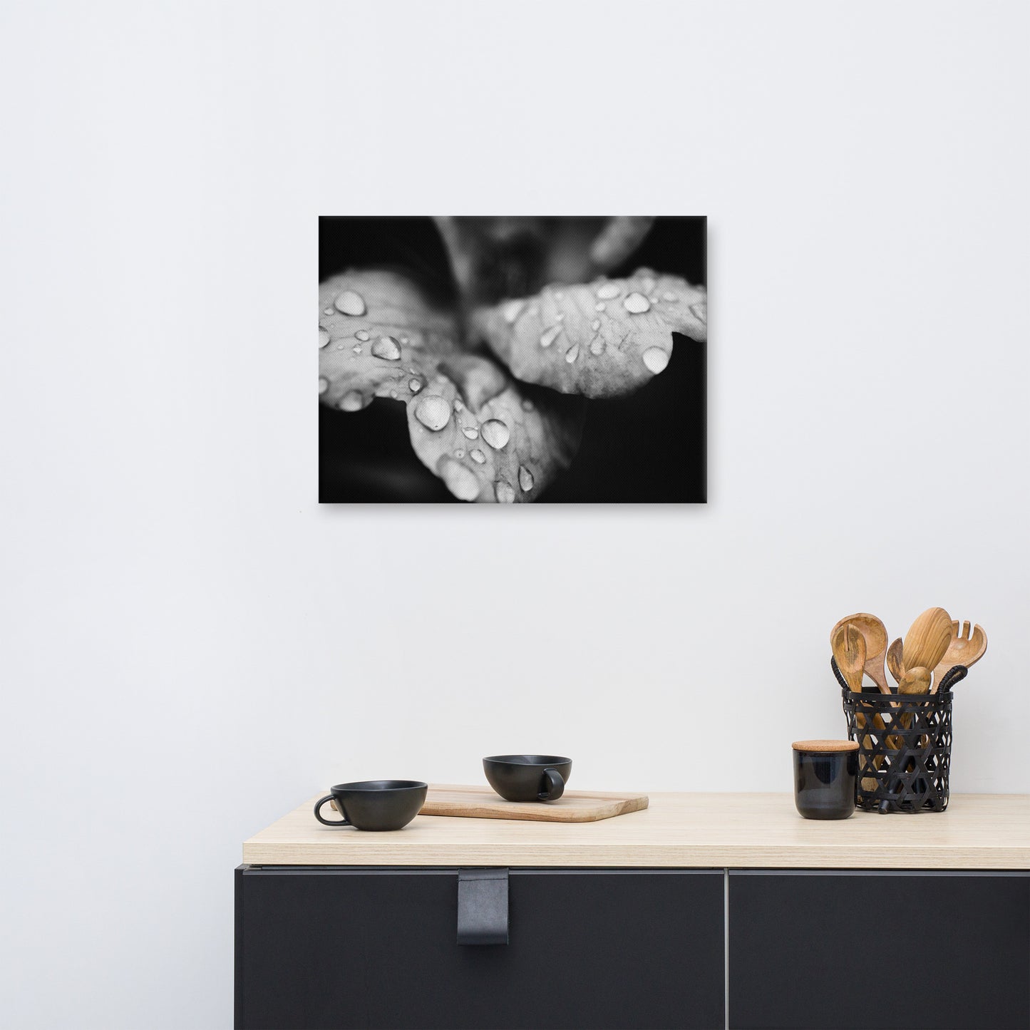 Raindrops on Wild Rose Plant Black and White Floral Botanical Nature Photo Canvas Wall Art Prints