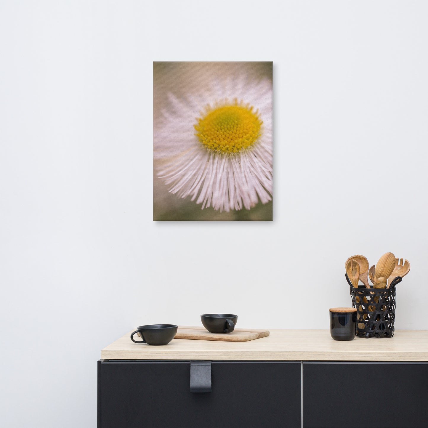 Philadelphia Fleabane Single Bloom Floral Botanical Nature Photo Canvas Wall Art Prints