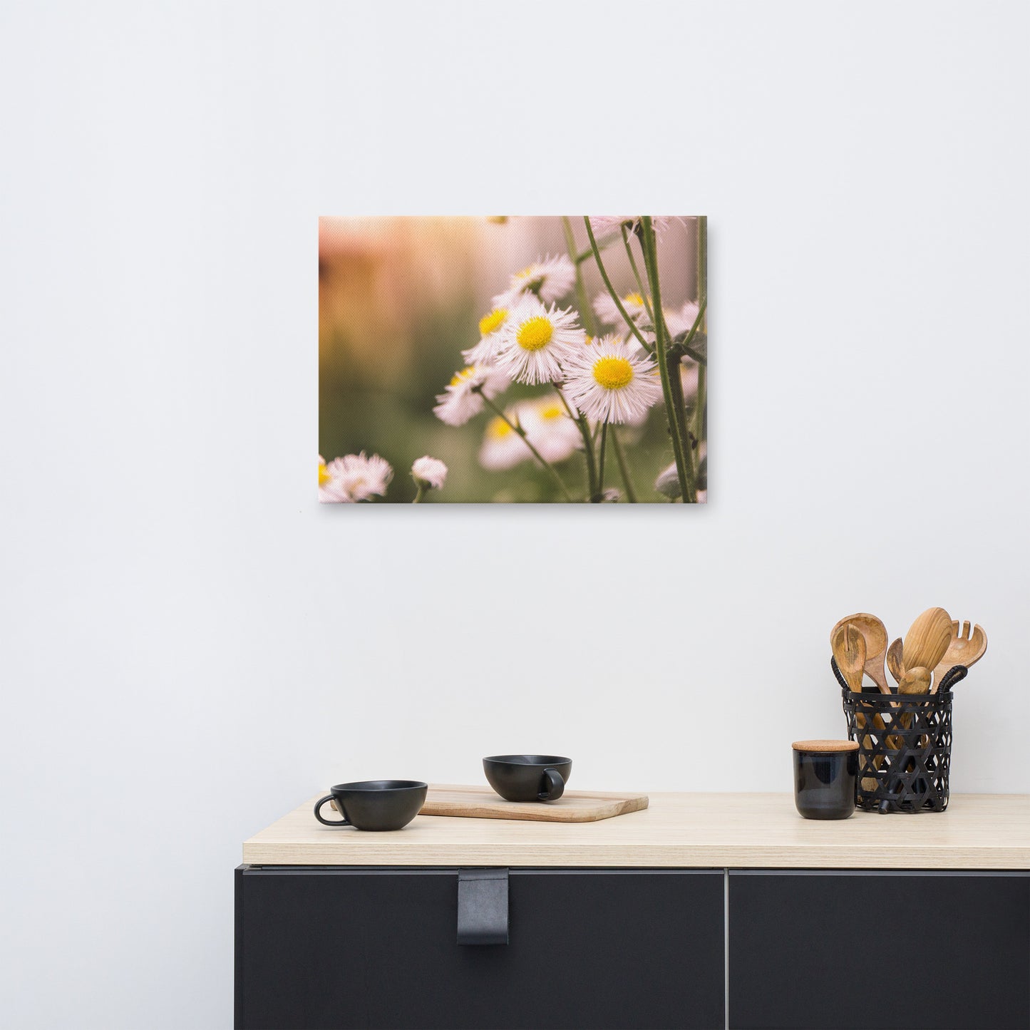 Philadelphia Fleabane Cluster Softened Floral Botanical Nature Photo Canvas Wall Art Prints