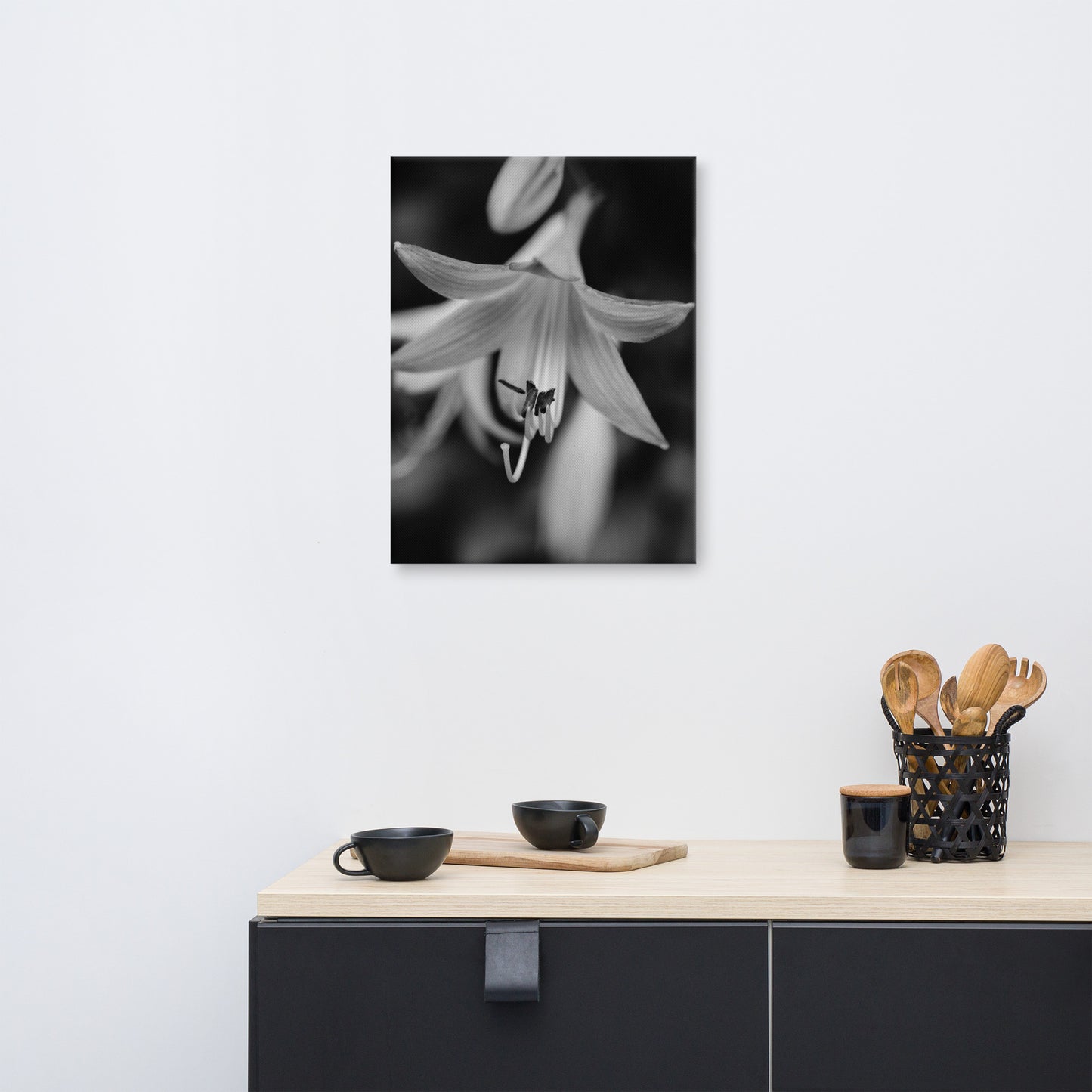 Hosta Bloom Black and White Floral Botanical Nature Photo Canvas Wall Art Prints