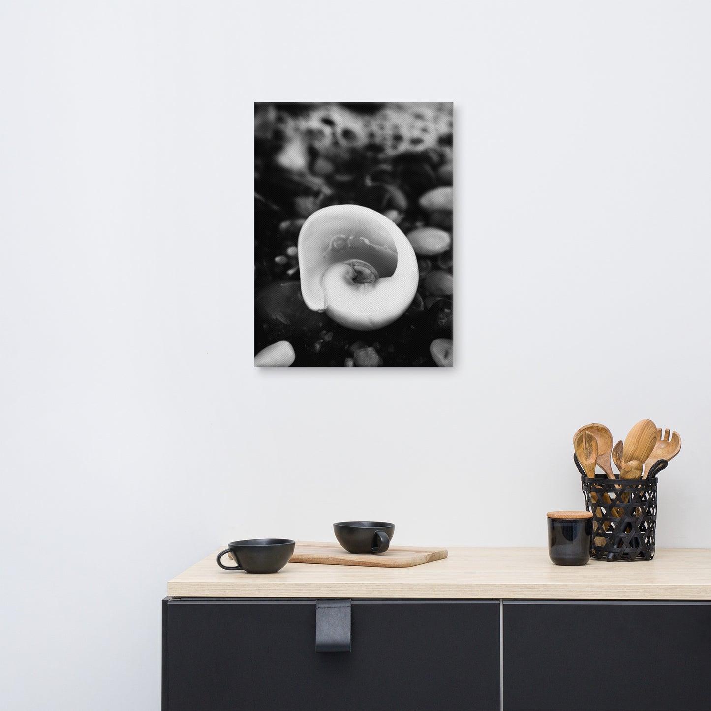 Glowing Beach Shell Black and White Coastal Nature Canvas Wall Art Prints