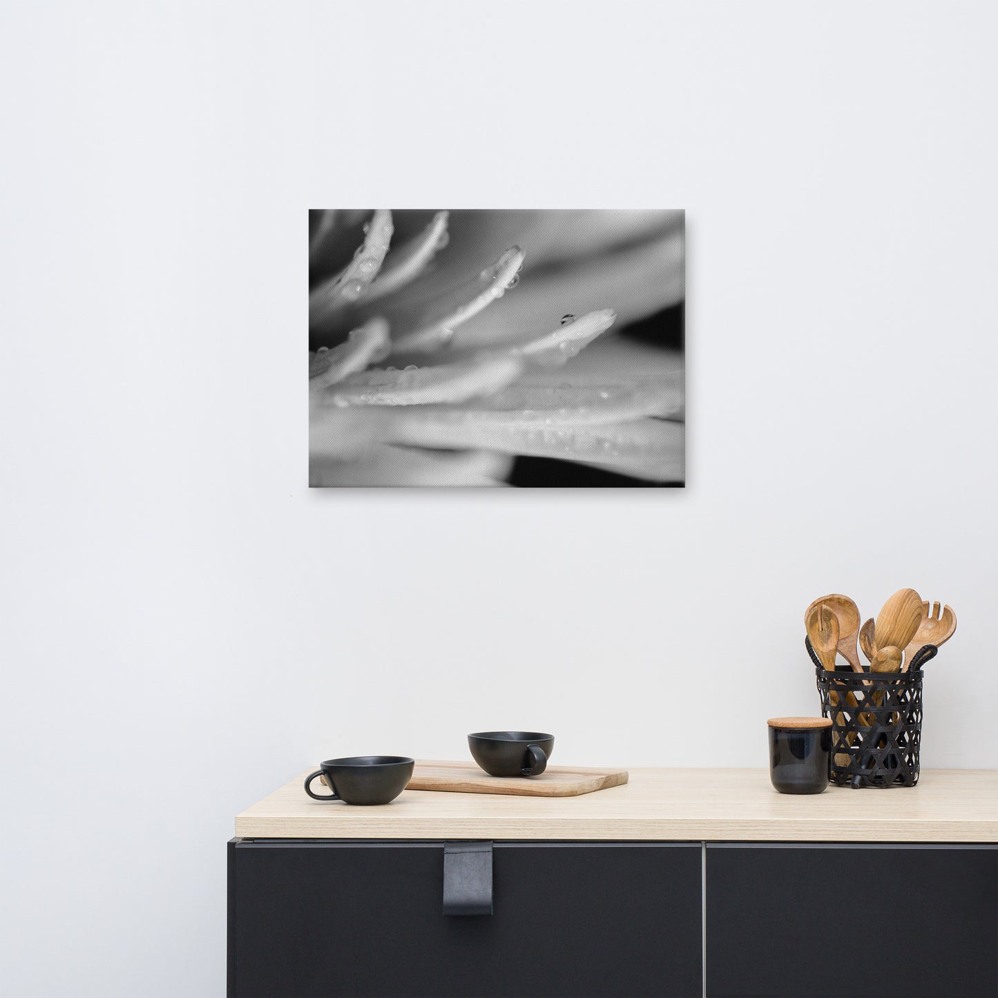 Droplets on Petals Black and White Floral Botanical Nature Photo Canvas Wall Art Prints