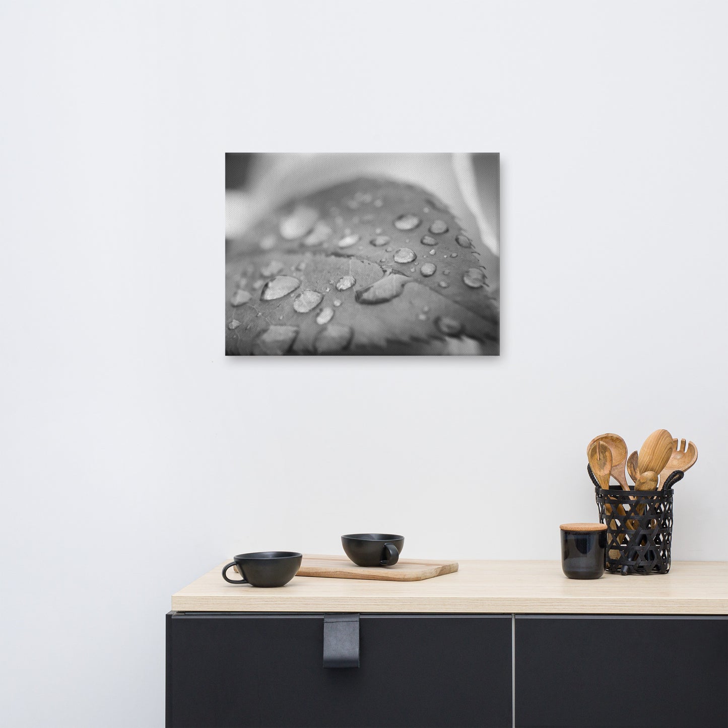 Dew on Leaf of Rose Plant Black and White Floral Nature Canvas Wall Art Prints