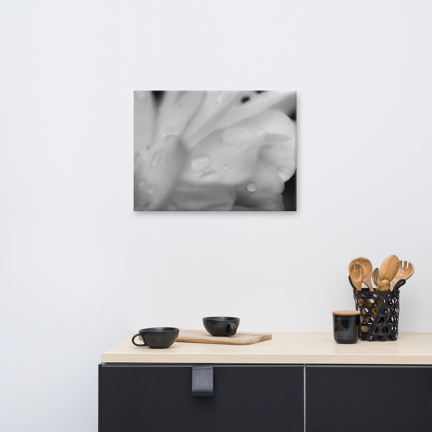 Delicate Rose Petals Black and White Floral Botanical Nature Photo Canvas Wall Art Prints