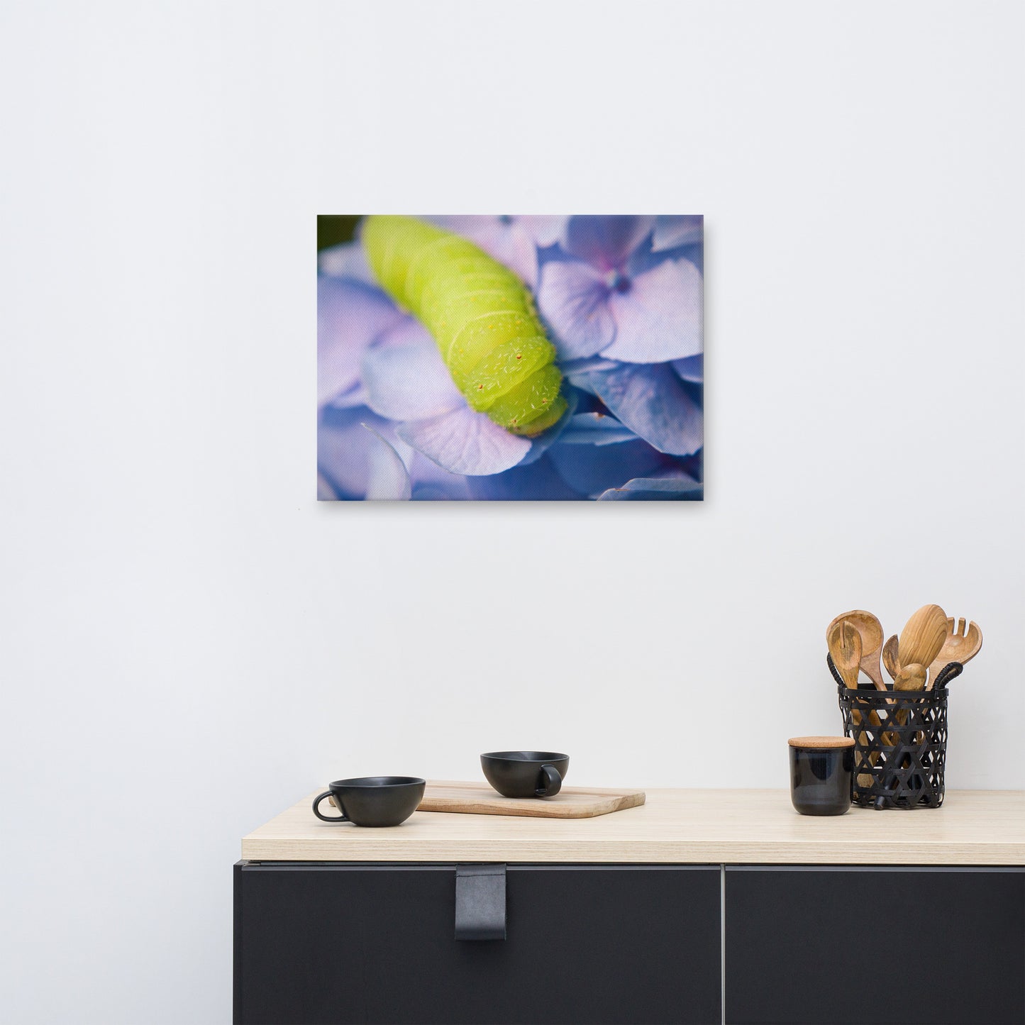 Actias Luna Larvae on Hydrangea Floral Botanical Nature Photograph Canvas Wall Art Prints