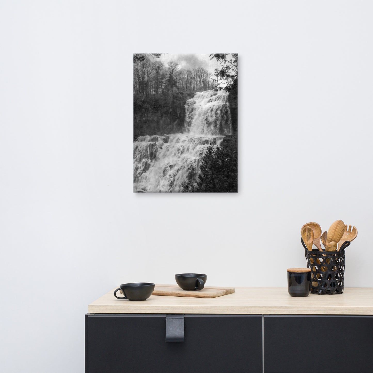 Chittenango Falls Black and White Rural Landscape Canvas Wall Art Prints