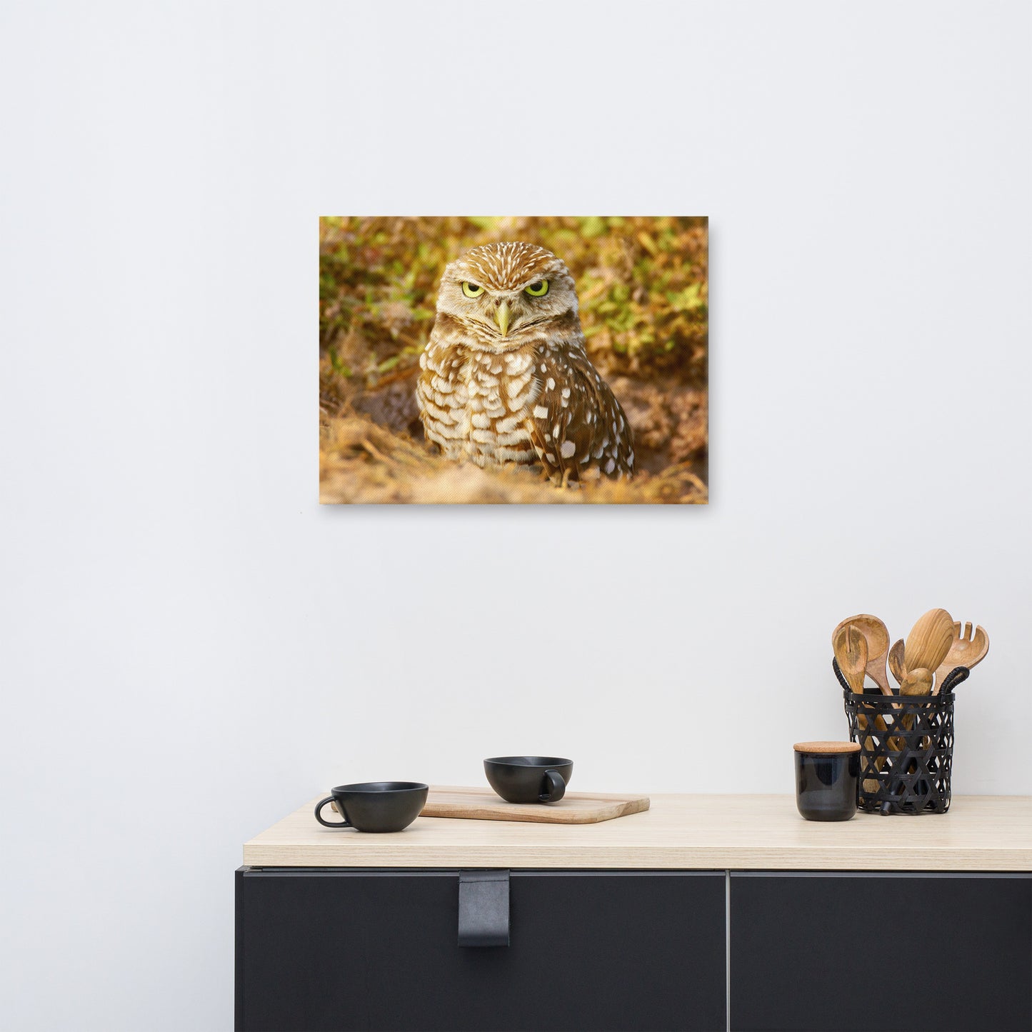 Burrowing Owl in Golden Light Wildlife Nature Photo Canvas Wall Art Prints