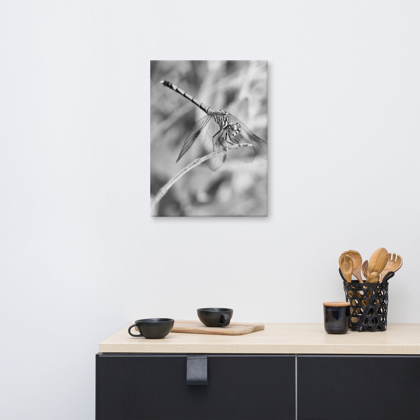 Dragonfly in Black and White Animal / Wildlife Photograph Canvas Wall Art Prints