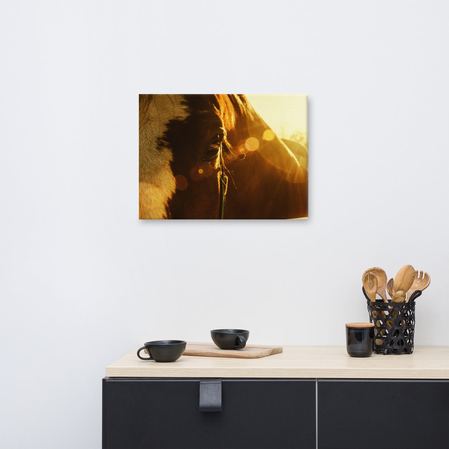 Evening Flare Animal / Horse Photograph Canvas Wall Art Prints