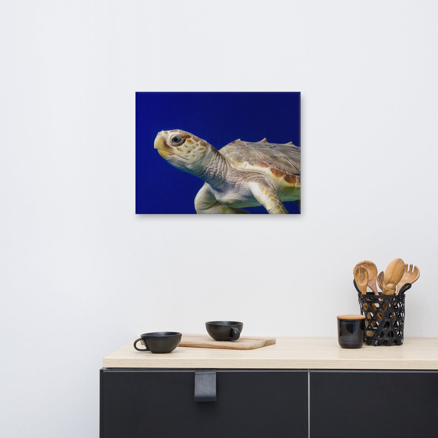 Sea Turtle 2 Animal / Wildlife Photograph Canvas Wall Art Prints