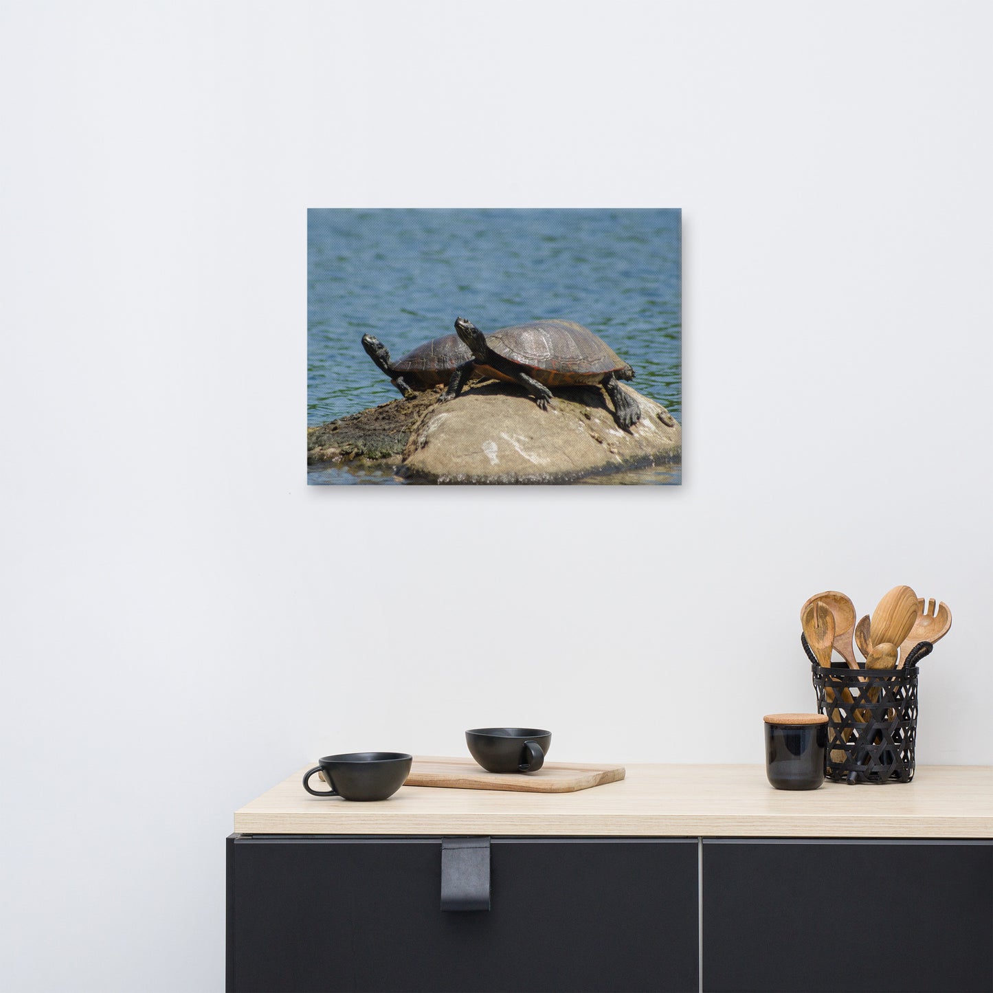 Sunshine Rock with Turtles Animal / Wildlife Photograph Canvas Wall Art Prints