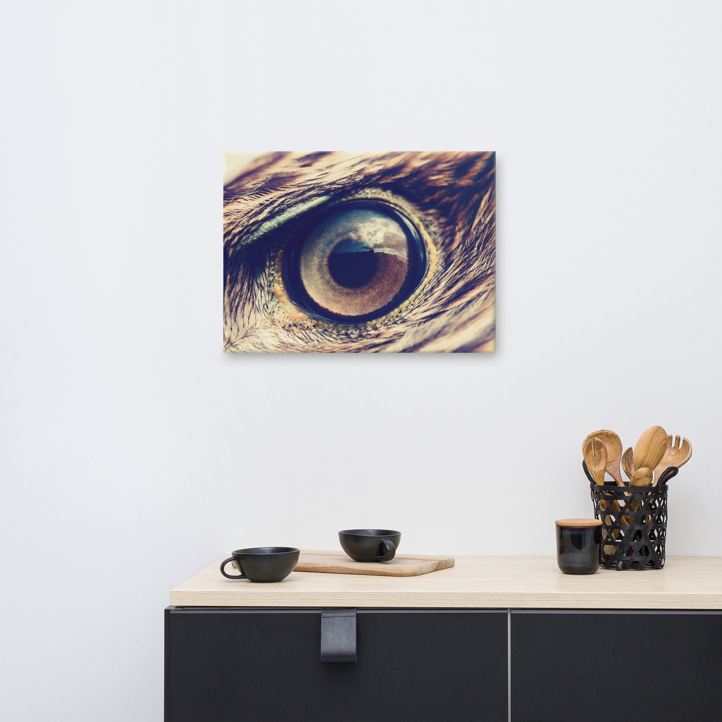 Close-up Eagle Eye Color Tone Animal Wildlife Photograph Canvas Wall Art Prints