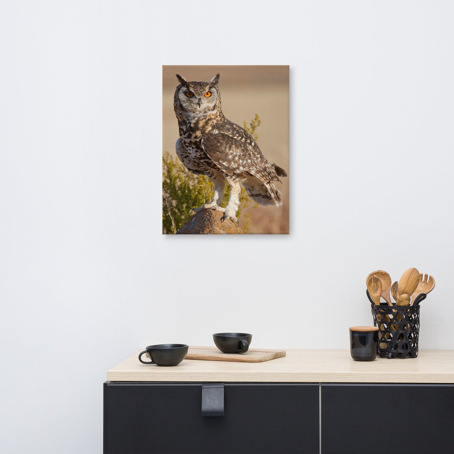 Cape Eagle Owl Wildlife Animal Photograph Canvas Wall Art Prints