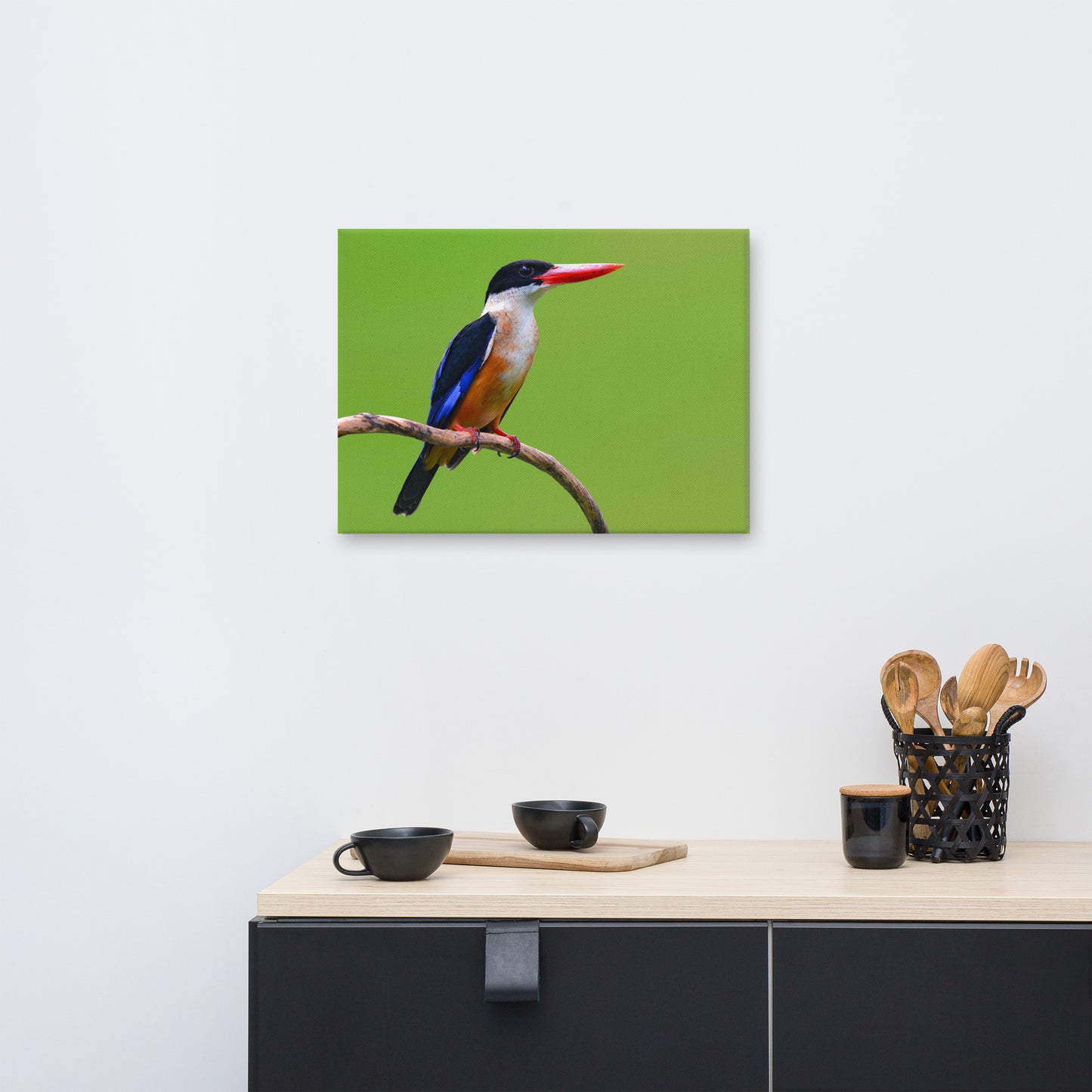 Black Capped Kingfisher Bird on Perch Animal Wildlife Photograph Canvas Wall Art Prints